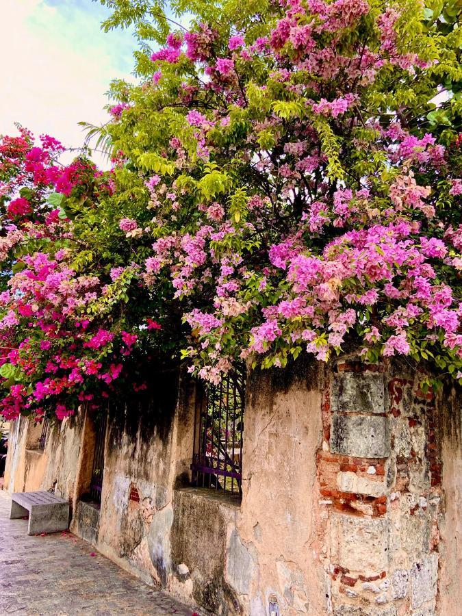 Boutique Hotel Casa Grande ซานโตโดมิงโก ภายนอก รูปภาพ